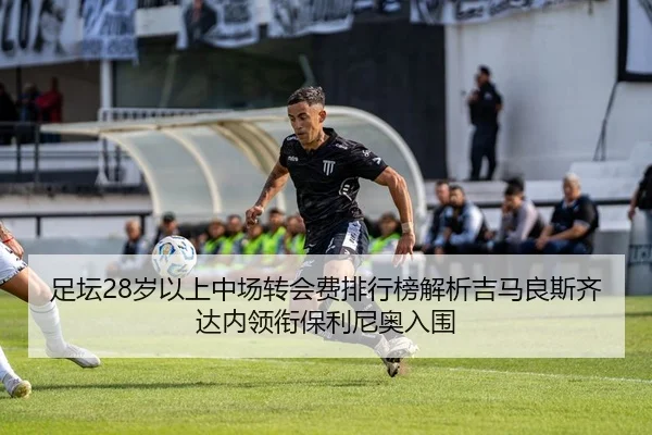 足坛28岁以上中场转会费排行榜解析吉马良斯齐达内领衔保利尼奥入围